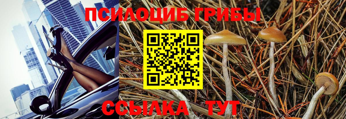 Псилоцибиновые грибы Psilocybine cubensis  Вход с VPN  Псилоцибиновые грибы Magic Shrooms  Орск 