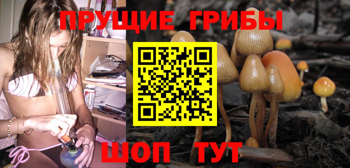 Галлюциногенные грибы Cubensis Орск